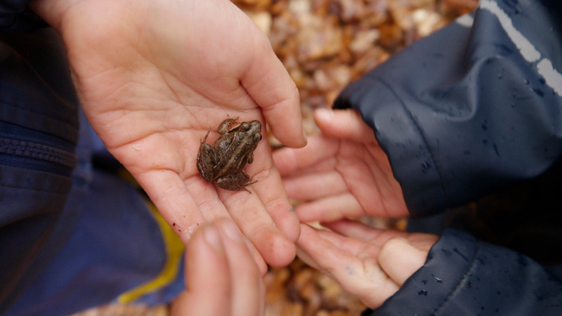 Erlebnis-Klassenfahrt!